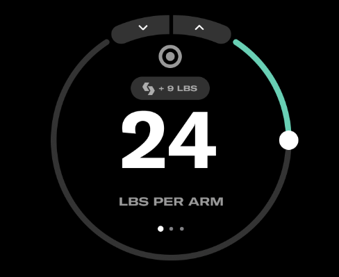 Intelligence: Dynamic Weight Modes